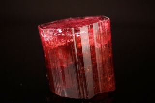CLASSIC Rubellite Tourmaline Crystal MALKHAN,  RUSSIA - Ex.  Lemanski 3