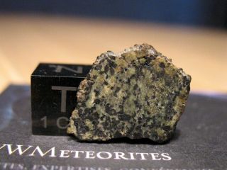 Martian Meteorite Nwa 13369 - Poikilitic Shergottite (peridotitic)