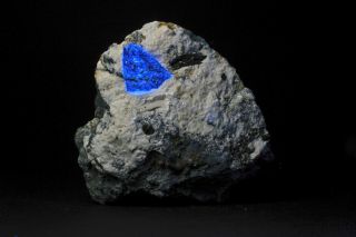 Jh15853 Benitoite 1” Crystal On Matrix,  Dallas Gem Mine,  Ca