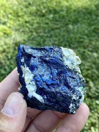 Old Stock Iridescent Covellite & Pyrite,  Butte,  Montana 2