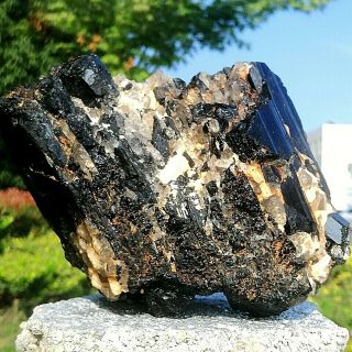 1510g Natural Black Tourmaline Quartz Crystal Cluster Mineral Specimen Fcc165