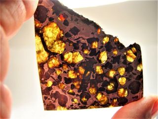 Museum Quality Crystals Brahin Pallasite Meteorite 43.  9 Gms