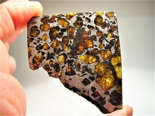 MUSEUM QUALITY CRYSTALS BRAHIN PALLASITE METEORITE 43.  9 GMS 2
