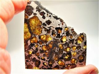 MUSEUM QUALITY CRYSTALS BRAHIN PALLASITE METEORITE 43.  9 GMS 3