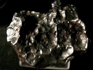 Classic Sikhote Alin Meteorite 54 Gram Iron Individual Loaded W/ Thumbprints
