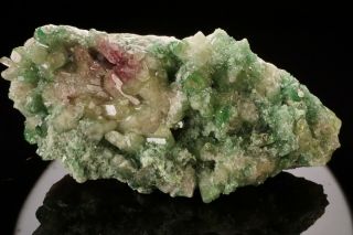 Aesthetic Chromian Vesuvianite Crystal Cluster Jeffrey Mine,  Canada