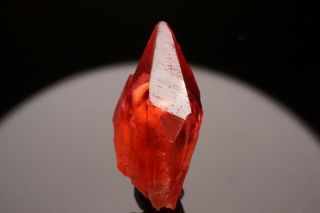 EXTRAORDINARY Gem Rhodochrosite Crystal KALAHARI,  SOUTH AFRICA - Ex.  Mushlitz 3