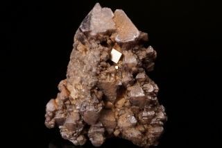 Unique Scheelite & Wolframite With Pyrite Crystal Wolfram Camp,  Australia