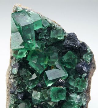Green/blue Fluorite crystals with Galena from Diana Maria Mine - Rogerley 2