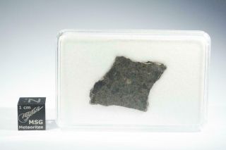 Nwa 11607 Meteorite Part Slice Weighing 1.  6 Grams.  The Only Ck 3 - 6 Available