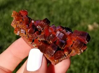 WOW Lustrous Dark Fire Red Vanadinite Crystals On Matrix From Morocco (: (: 2