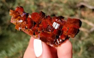 WOW Lustrous Dark Fire Red Vanadinite Crystals On Matrix From Morocco (: (: 3