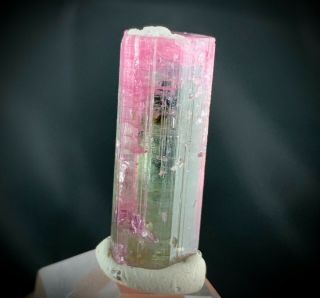 Pink Rubellite Tourmaline Crystal: Cruzeiro Mine.  São José Da Safira,  Mg,  Brazil