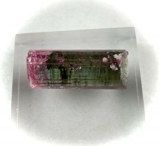Pink Rubellite Tourmaline Crystal: Cruzeiro mine.  São José da Safira,  MG,  Brazil 2