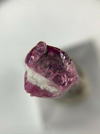 Pink Rubellite Tourmaline Crystal: Cruzeiro mine.  São José da Safira,  MG,  Brazil 3