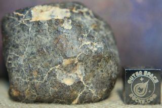 Nwa Unclassified Meteorite 41.  4g Individual With Fusion Crusted Exterior