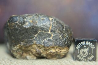 NWA Unclassified Meteorite 41.  4g individual with fusion crusted exterior 3