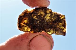 Nwa 7831 Diogenite Meteorite Etched Full Slice 2.  2 Grams