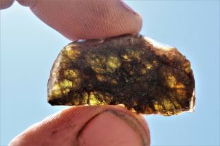 NWA 7831 Diogenite Meteorite etched full slice 2.  2 grams 2