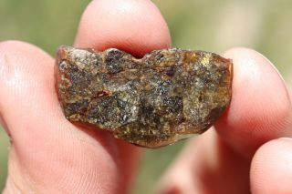 NWA 7831 Diogenite Meteorite etched full slice 2.  2 grams 3