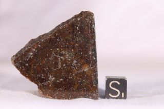 Gold Basin Meteorite End Cut 51.  3 Grams
