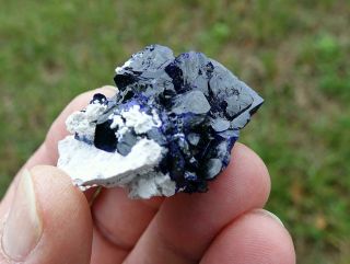 Rare,  Lustrous Blue Azurite Crystals,  Contrasting Dickite Matrix,  Milpillas