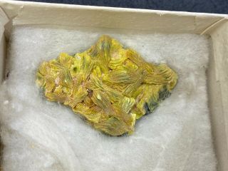 Autunite Mineral Specimen From Wa In Cardboard Box - Vintage Estate Find