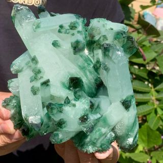 2.  55lb Find Green Phantom Quartz Crystal Cluster Mineral Specimen Healing
