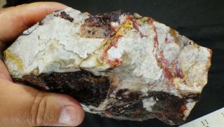 Rm69 - Old Stock - Crazy Lace Agate - Mexico - 7.  5 Lbs - Us 669
