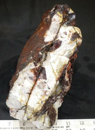 rm69 - OLD STOCK - Crazy Lace Agate - Mexico - 7.  5 lbs - US 669 2