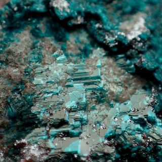 Rouaite Blue Crystals On Cuprite Very Rare Tenke,  Dr Congo