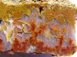 Rimrock: 3.  70 Lbs Cathedral Agate Rough