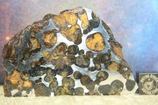 Sericho Pallasite Meteorite From Kenya Africa Habaswein 49.  2 Gram Part Slice