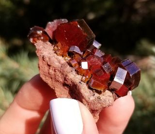 Wow Radiant Dark Fire Red Vanadinite Crystals On Matrix From Morocco (: (: