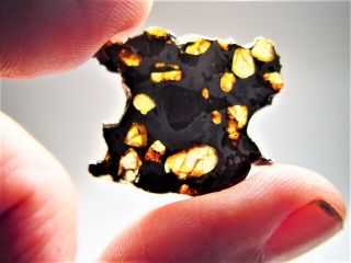 Museum Quality Crystals Brahin Pallasite Meteorite 3.  3 Gms