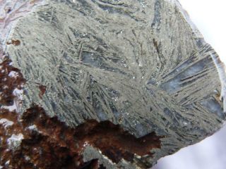 Rimrock: 2.  80 Lbs Rare Feather Pyrite Rough