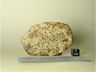 Meteorite Nwa Unclassified Chondrite Meteorite Polished Endpiece 81,  4 G