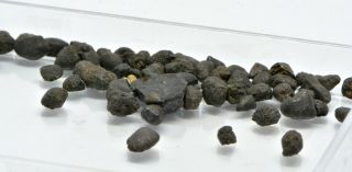 Meteorite Chelyabinsk,  Russia,  Feb.  15,  2013 Chondrite Ll5 Weight 5.  7 G Micros