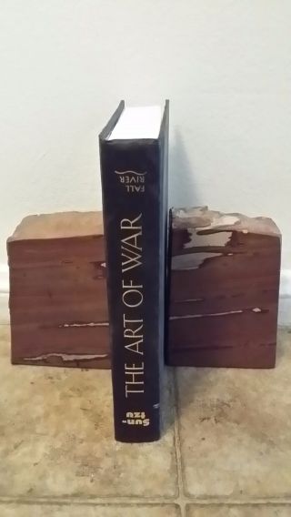 Petrified Wood Book Ends 7 Pounds