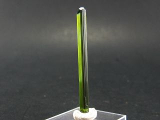 Gem Green Tourmaline Crystal From Brazil - 9 Carats - 1.  9 "