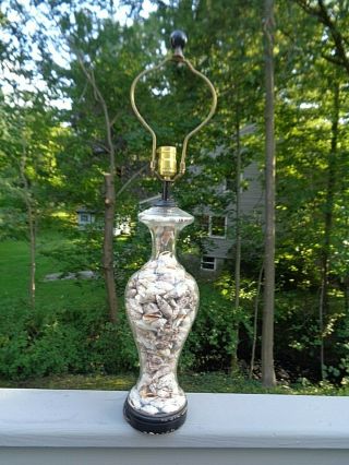 Vintage CHAPMAN Glass Sea Shell Lamp 1970 ' s - Needs Re - Wiring 3