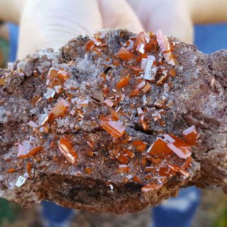 Exceptional 3 1/2 Inch Loaded Wulfenite Cluster Red Cloud Mine Arizona