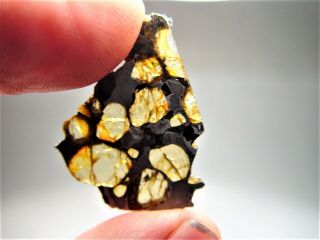 Museum Quality Crystals Brahin Pallasite Meteorite 2.  9 Gms