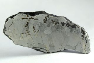 Meteorite - Canyon Diablo 20.  9g Polished And Etched Full Slice