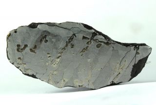 Meteorite - Canyon Diablo 20.  9g Polished and Etched Full Slice 2