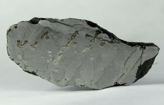 Meteorite - Canyon Diablo 20.  9g Polished and Etched Full Slice 3