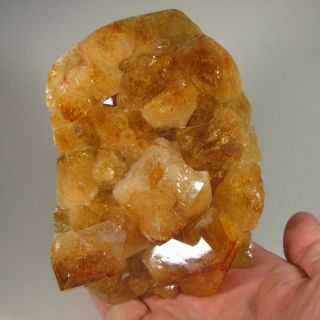 4.  5 " Polished Citrine Crystals Cluster Standup Display Stone - Brazil - 2.  9 Lbs.