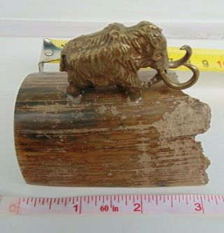 Rare Extinct Fossil Woolly Mammoth Bronze Figures On A Fossil Tooth.
