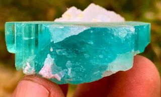 165 C.  T 100 Natural Well Terminated Open Paraiba Blue Cap Tourmaline Crystal.