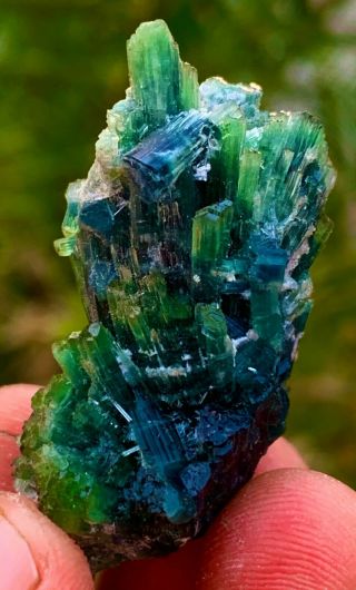 76 C.  T 100 Natural Rare Indicolite Paraiba Blue Tourmaline Crystal Bunch.